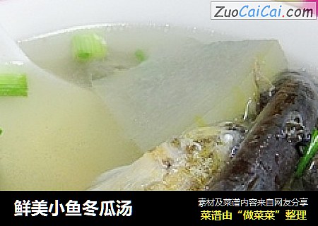 鲜美小鱼冬瓜汤