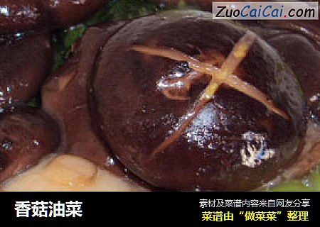 香菇油菜