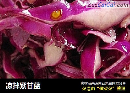 凉拌紫甘蓝