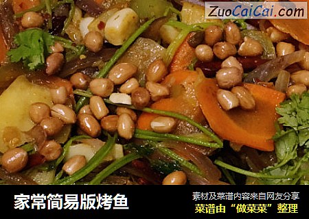 家常简易版烤鱼