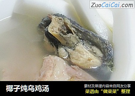 椰子炖乌鸡汤