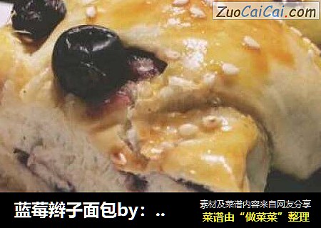 蓝莓辫子面包by：普蓝高科蓝莓美食特约撰稿人