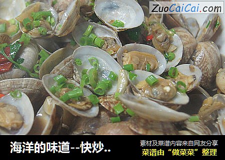 海洋的味道--快炒花蛤