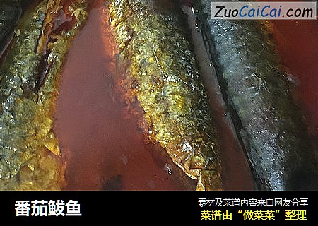 番茄鲅鱼