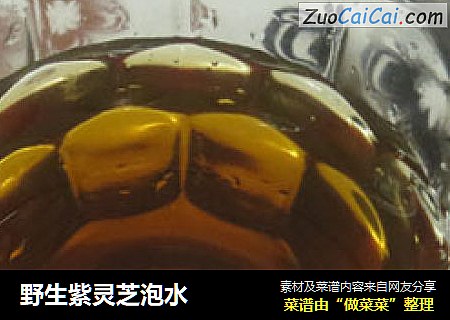 野生紫灵芝泡水