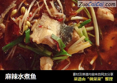 麻辣水煮鱼