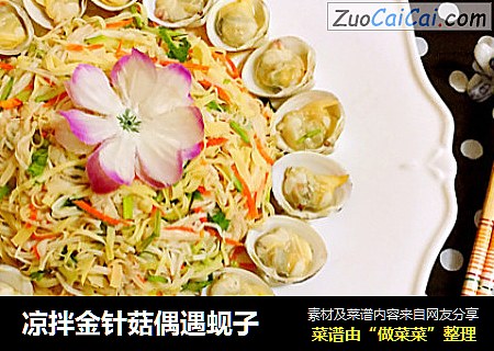 凉拌金针菇偶遇蚬子