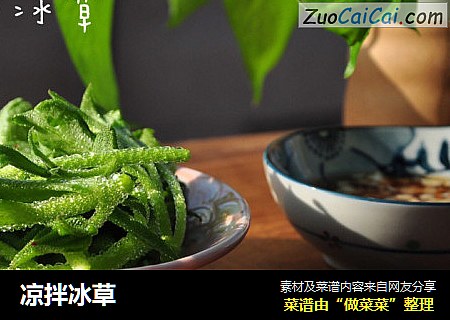 凉拌冰草