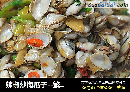 辣椒炒海瓜子--繁华都市里，那属于自己的一点点慵懒和恣意。