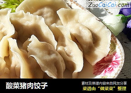 酸菜猪肉饺子