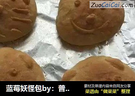 蓝莓妖怪包by：普蓝高科蓝莓美食特约撰稿人