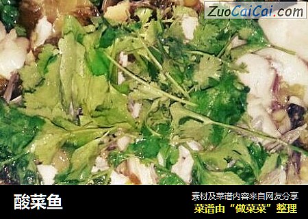 酸菜鱼