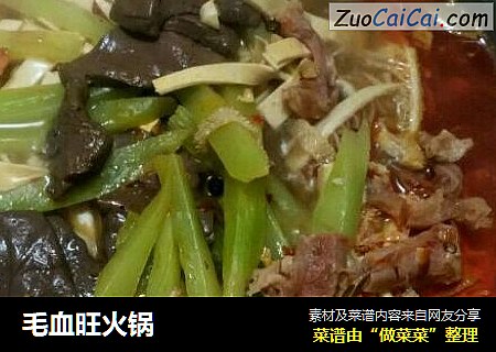 毛血旺火锅