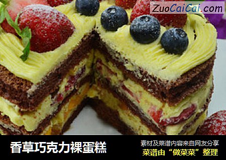香草巧克力裸蛋糕