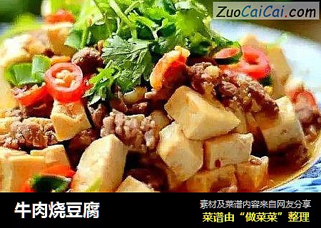牛肉烧豆腐