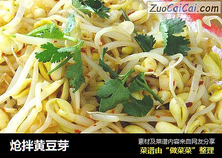 炝拌黄豆芽