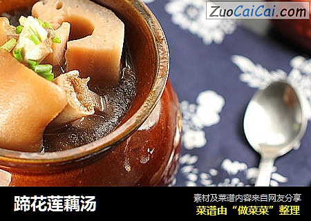 蹄花莲藕汤