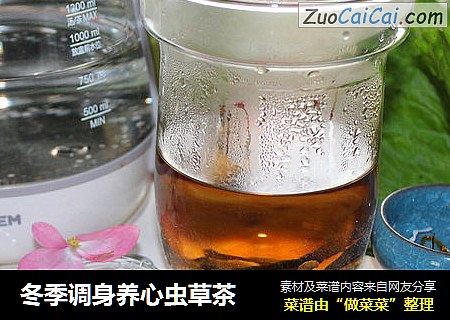 冬季调身养心虫草茶