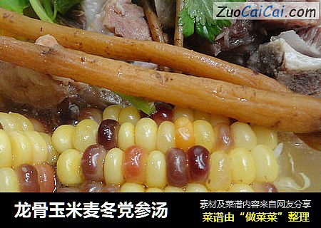 龙骨玉米麦冬党参汤