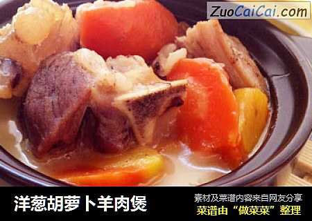 洋葱胡萝卜羊肉煲