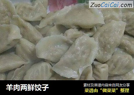 羊肉两鲜饺子