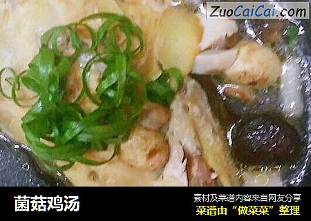 菌菇鸡汤
