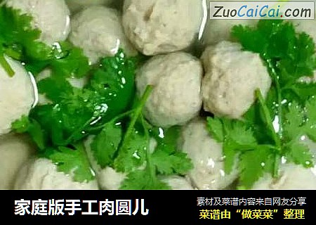 家庭版手工肉圆儿
