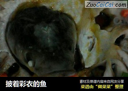 披着彩衣的鱼