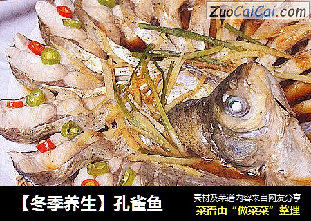 【冬季养生】孔雀鱼