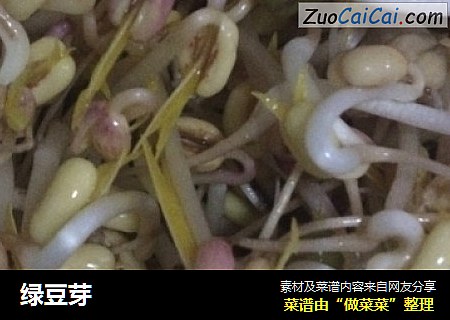 绿豆芽