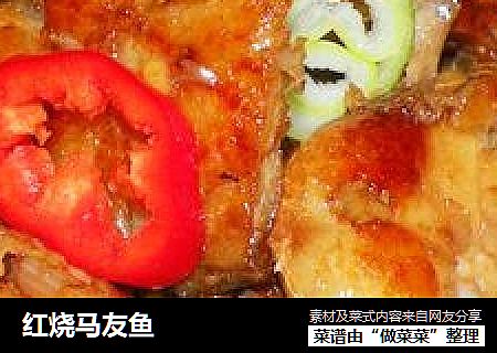 红烧马友鱼
