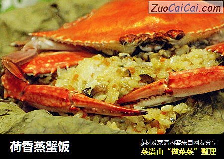 荷香蒸蟹饭