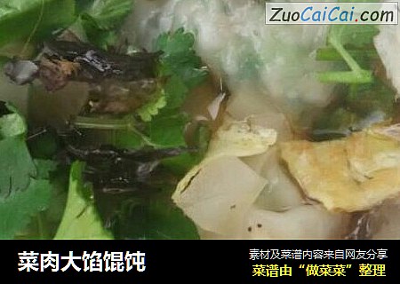 菜肉大馅馄饨
