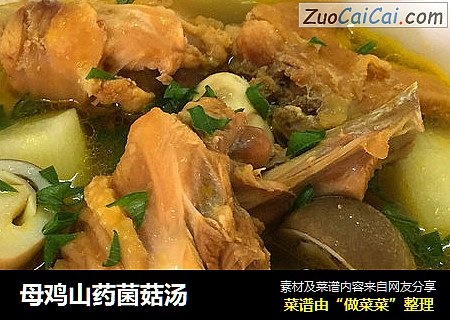 母鸡山药菌菇汤