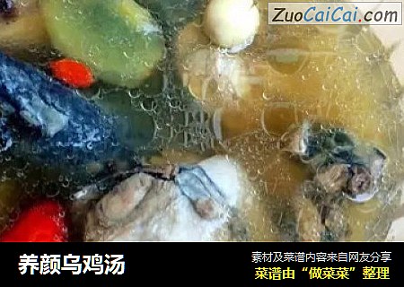 养颜乌鸡汤
