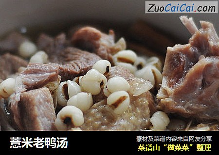 薏米老鸭汤