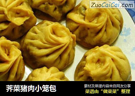 荠菜猪肉小笼包