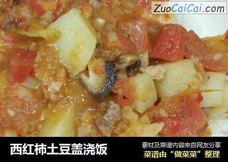 西红柿土豆盖浇饭