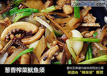 葱香榨菜鱿鱼须
