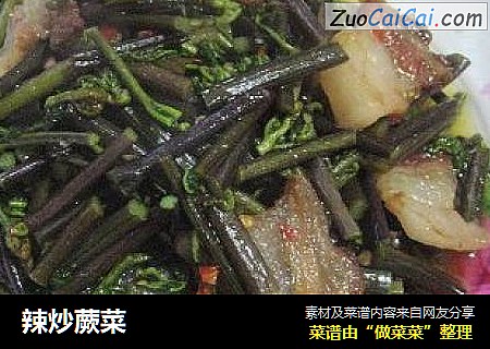 辣炒蕨菜