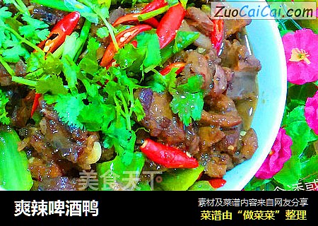爽辣啤酒鸭