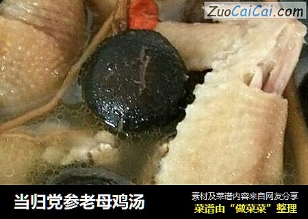 当归党参老母鸡汤