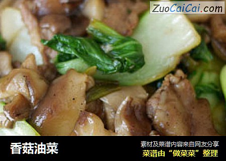 香菇油菜