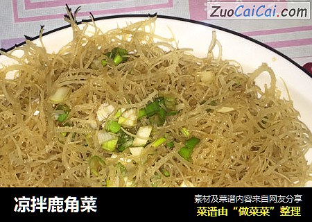 凉拌鹿角菜