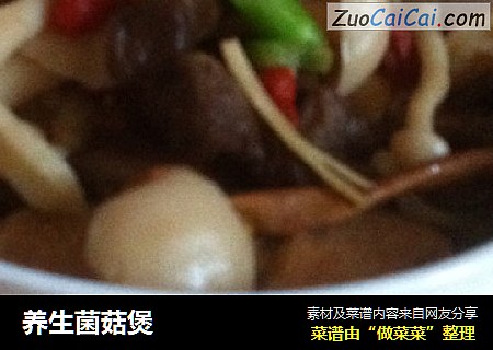 养生菌菇煲