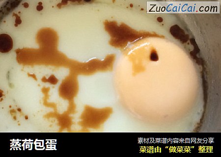 蒸荷包蛋