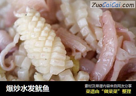 爆炒水发鱿鱼