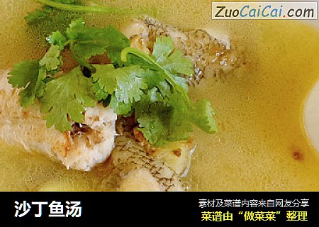 沙丁鱼汤