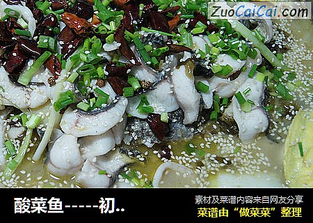 酸菜鱼-----初恋般的酸爽