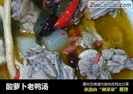 酸萝卜老鸭汤
